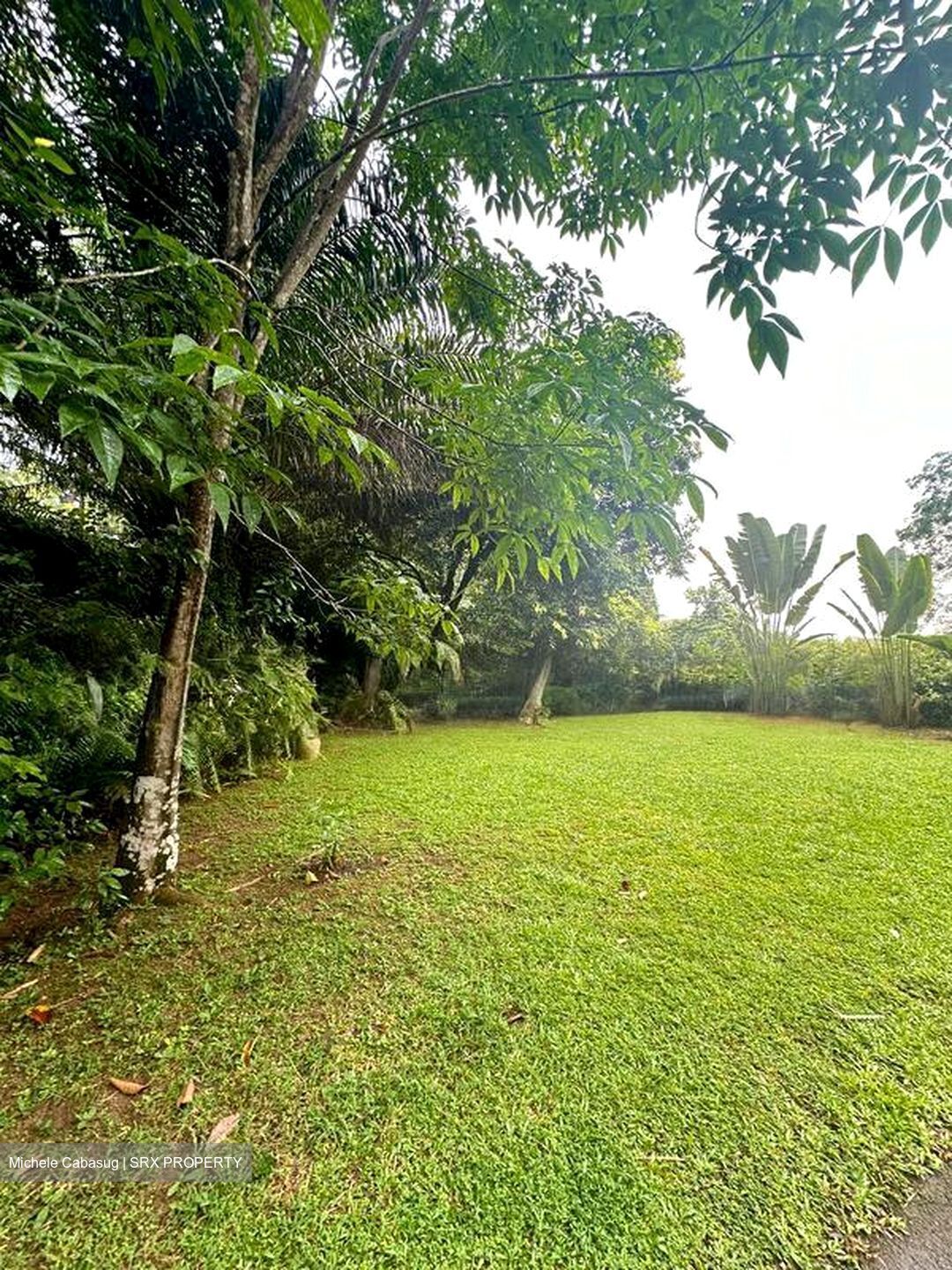 Thomson Road (D11), Detached #498337211